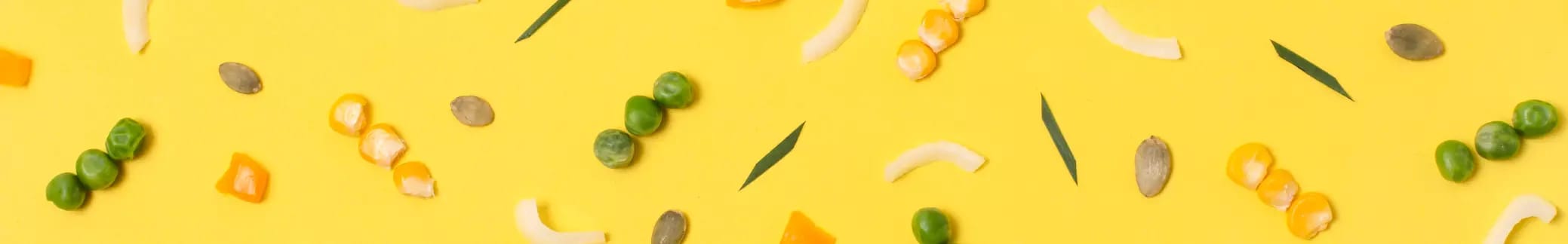 Teekha Chatpata Appitizer (Vegetarian) placeholder